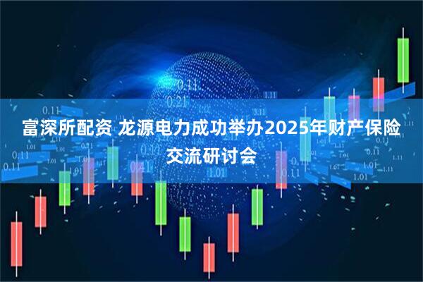 富深所配资 龙源电力成功举办2025年财产保险交流研讨会